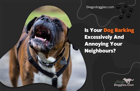  If your dog is excessively barking or howling, this can be extremely disruptive to your neighbors and may result in a noise complaint
