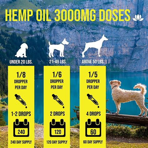  If your dog is experiencing a lot of pain, he may need a high dosage of CBD oil