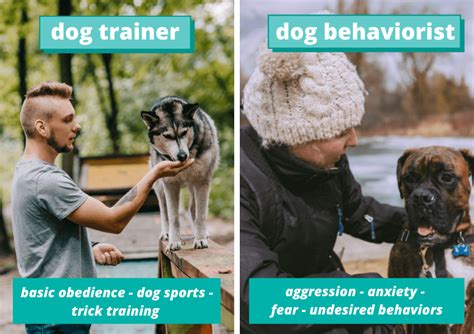  If your dog is experiencing any of these behaviors, it is important to seek professional help from a certified animal behaviorist or trainer