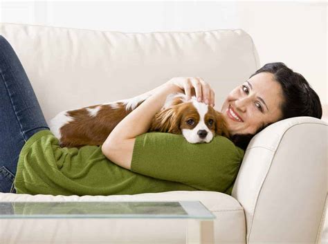  If your dog is particularly active, or more of a cuddly couch surfer you may need to adjust their diet to fit their nutritional needs