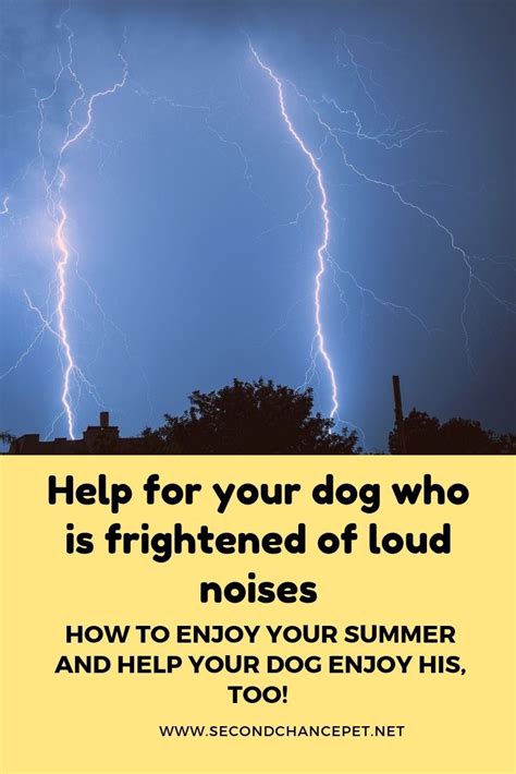  If your dog suffers from anxiety due to loud noises such as thunderstorms, you might give them CBD oil just before the noise occurs