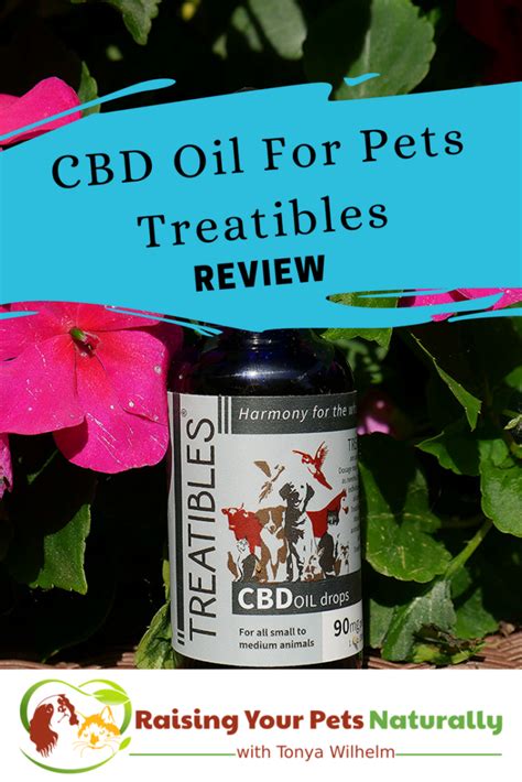  If your pet has a particularly severe case of anxiety, it might be helpful to give your cat 5 mg of CBD twice per day