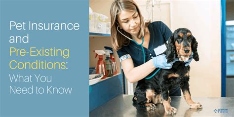  If your pet has existing medical conditions that require medication, feel free to talk to your vet about any drug interaction concerns