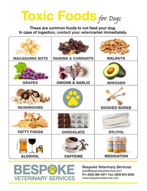  If your pet has ingested an edible with these two highly toxic ingredients it is best to contact your veterinarian immediately or call the pet poison hotline at 