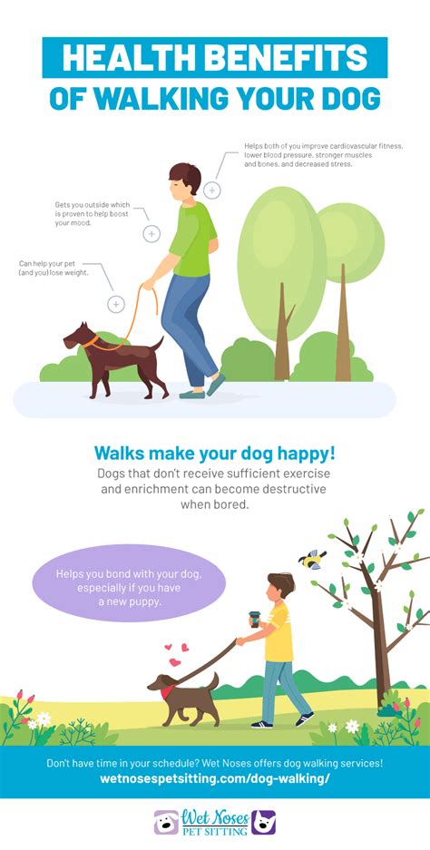  If your pooch is taller, has a leaner physique, and tons of energy to spare, then consider walking your dog 30 minutes or more each day