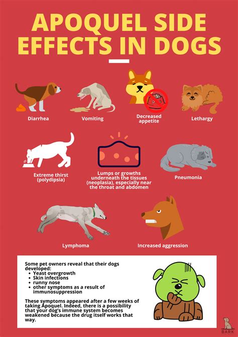  If your pup does experience any of these side effects, visit your veterinarian for guidance
