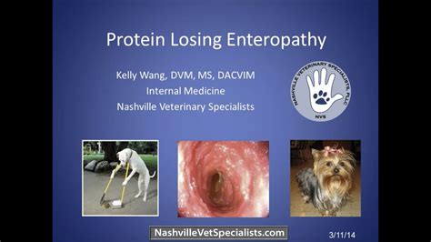  In addition, as further studies are conducted on these conventional options, many are losing their favor among veterinary professionals