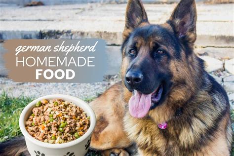  In addition to feeding it healthy food, the snacks you feed your German shepherd can have an impact on its health