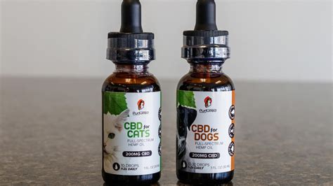  In addition to regular treatment, pet owners also use CBD to soothe pups on special occasions such as 4th of July fireworks and trips to the vet