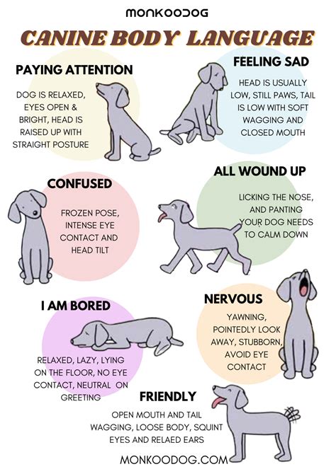  In general, if you can understand your dog