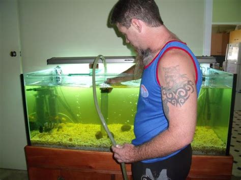  In one strange and extreme case, a man washed his mouth using fish aquarium cleaner in an unsuccessful effort to beat his drug test