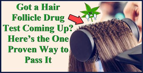  In order to pass a hair follicle drug test, shave everything