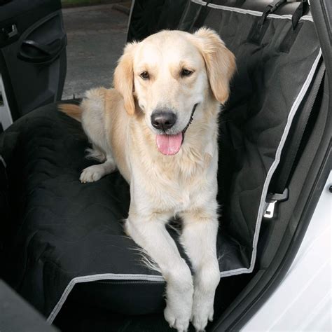  In short, it would be best to have someone to accompany your pet instead of leaving it in a crate or alone in the backseat