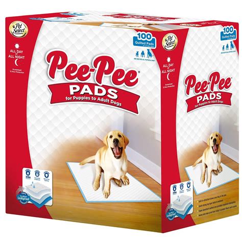  In the designated elimination area, use either pet pee pads, newspapers cover the area with several layers of newspaper or a sod box