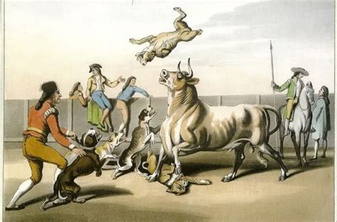  In the past, they were bred to be ferocious animals that partook in bull-baiting