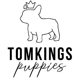  In this article, we share with you how we help our little puppies on the TomKings Puppies farm, from the first moments of their lives until we find a forever loving family for them