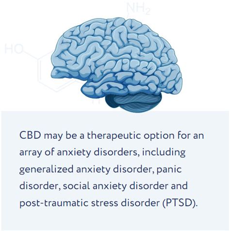  Indeed, CBD exhibited a wide range of activities, including anxiolytic, panicolytic, and anticompulsive actions, as well as decreased autonomic arousal, decreased conditioned fear expression, increased fear extinction, reconsolidation block, and prevention of the long-term anxiety-provoking effects of stress 