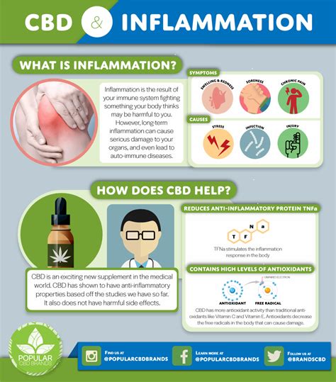  Indeed, CBD manages to reduce inflammation, because it is involved in the inhibition of inflammatory cytokines