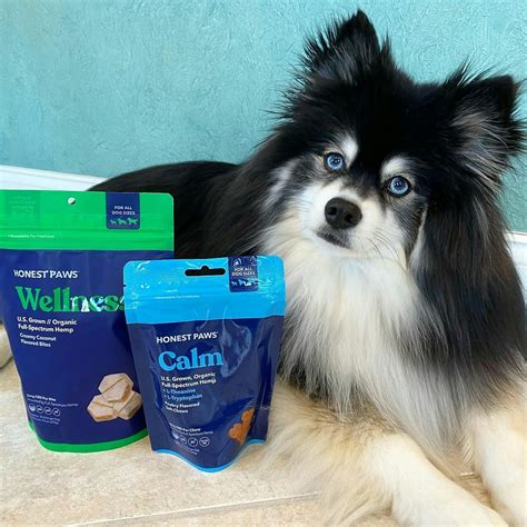  Indeed, Honest Paws is one of the perfect pet wellness brands out there in the market