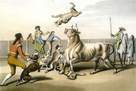  Initially, they were used in the heinous sport of bull baiting