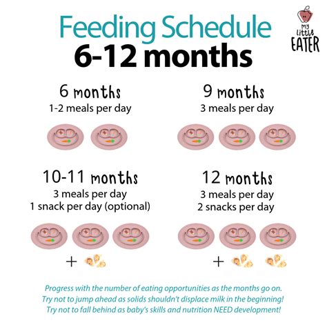  Instead, establish a regular feeding schedule early on