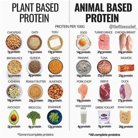  Instead, look for food that lists a source of animal protein, like chicken, beef, or fish, as the first ingredient