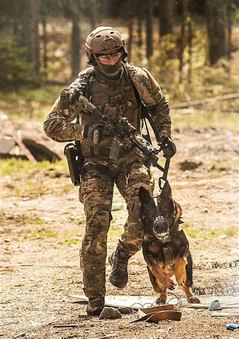  Instead, they are better known for being used as working dogs in the military, police , and even as support dogs for people who are blind or living with other disabilities