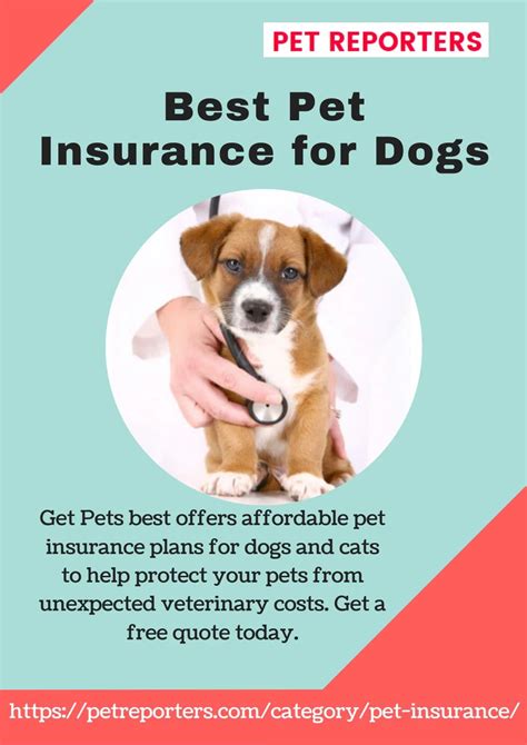  Insurance: We recommend every dog have health insurance