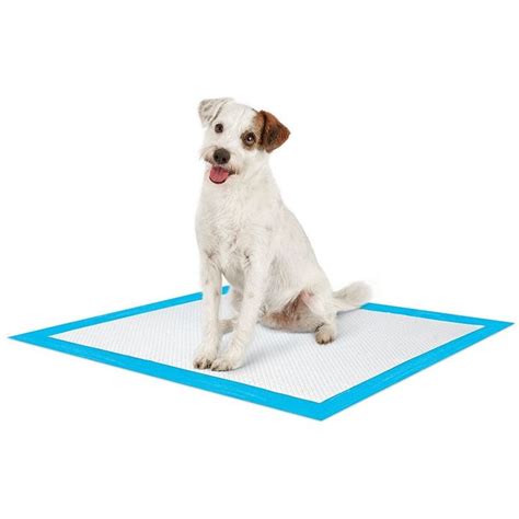  Introducing the potty pads on the box will help your dog associate this area with a toilet, and they will come here when pressed
