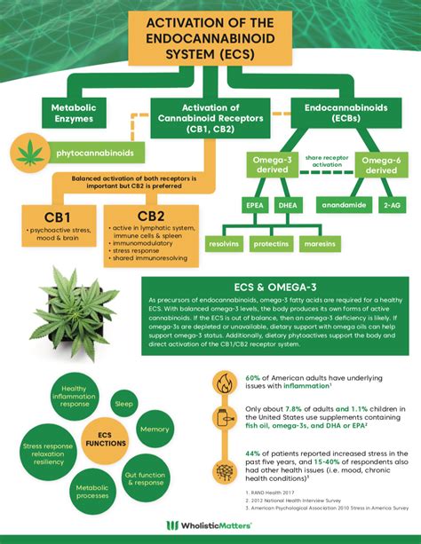  Introduction In the last 30 years, research has made considerable strides in studying and understanding the endocannabinoid system ECS and its bodily functions
