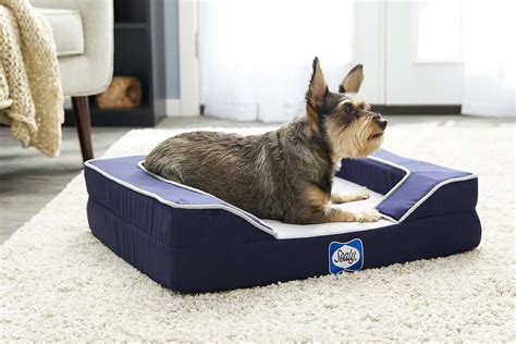  Investing in a cooling bed for your pup will also help regulate their body temperature and breathing
