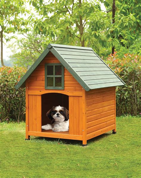  Irrespective of where you live, Premium Pet House offers the best Boxer price