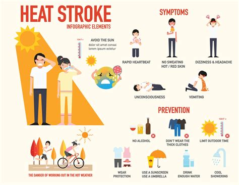  Issues such as heat stroke and heat stress are also very common for these dogs, as they will usually have more difficulty cooling themselves in hot weather