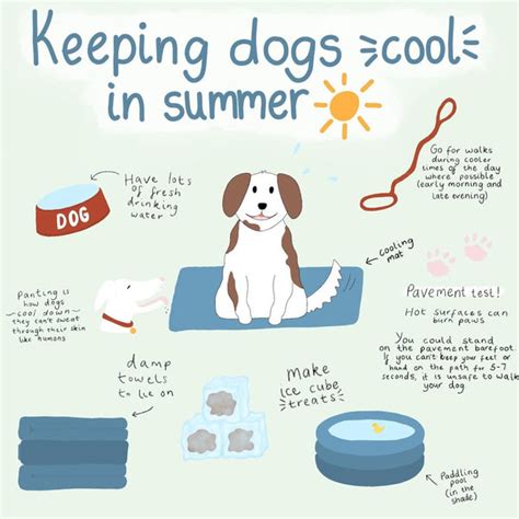  It also keeps the dogs cooler not having so much hair in warmer climates