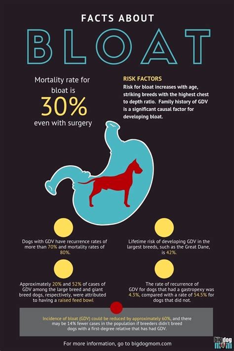  It can actually be dangerous for dogs to bloat and lead to stomach distension