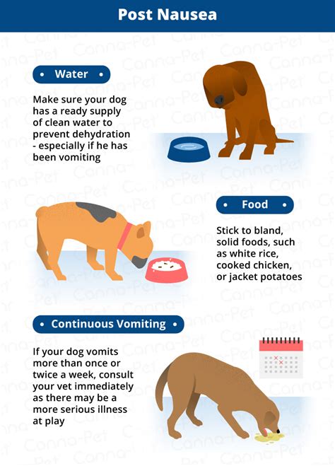  It can also help to alleviate any nausea that your dog might experience