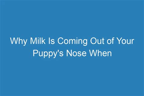  It can also lead to milk coming out of the nose as the puppy may not be able to effectively swallow and control the flow of milk