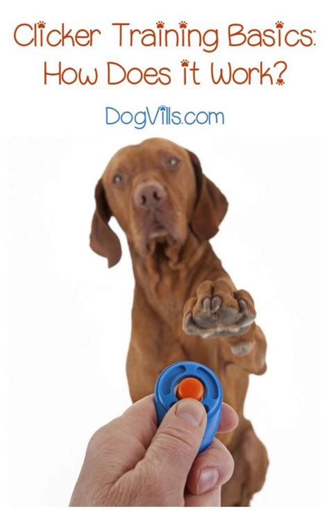  It combines reward training with a small hand-held clicker that you will click every time you reward your pup for good behavior or when following a command