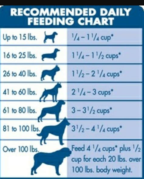  It gives you an idea of how much to feed your Labrador puppy Lab Puppy Feeding Chart The Lab puppy feeding chart below is only a very rough guide