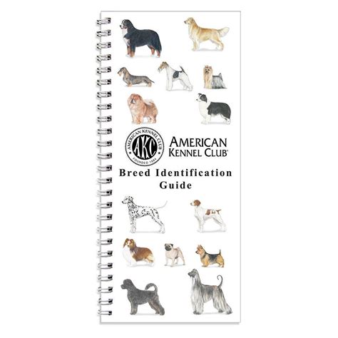  It has been recognized by the AKC since 