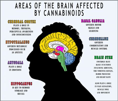  It impacts the mind and makes the consumer feel stoned