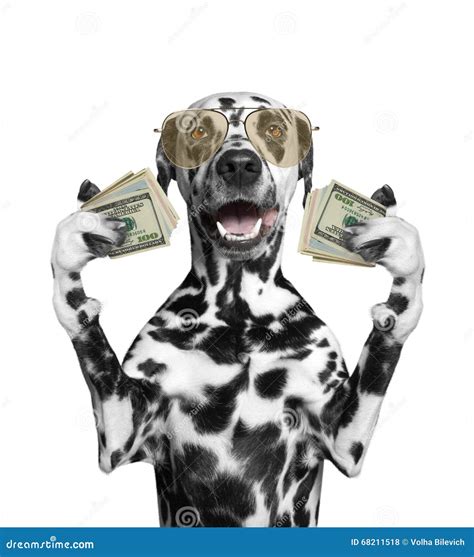  It is a lot of money for a dog