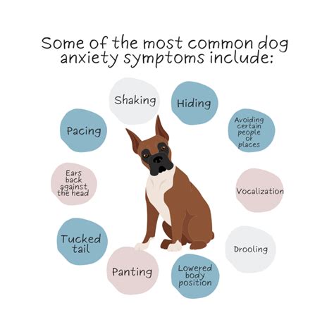  It is also very common for dogs with anxiety to display other behavior problems as well