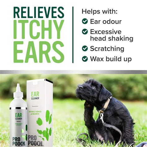  It is an effective solution recommended by vets to soothe shaking dogs, vomiting and many other ailments