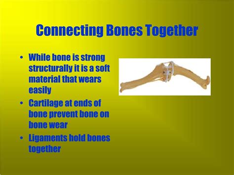  It is caused by the continuous wear and tear of two connecting bones, but injury, diseases, and genetics are other causes