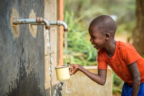  It is crucial to provide access to fresh, clean water at all times to ensure their hydration needs are met