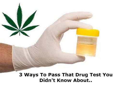  It is difficult to pass a drug test if you exercise before the test