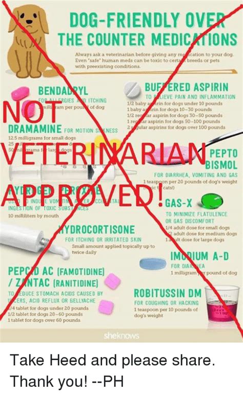  It is essential to always consult with a veterinarian before giving any supplement or medication to your pet