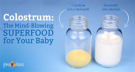  It is extremely important that they get some of the colostrum, the yellowish pre-milk that the mother will secrete at first
