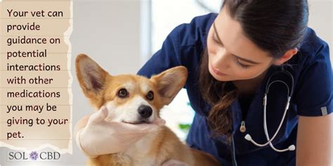  It is important to consult with your veterinarian before starting your dog on CBD, as they will be able to provide personalized dosing recommendations and monitor for any potential side effects or interactions with other medications your dog may be taking
